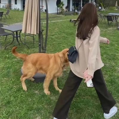 肮脏的爱情